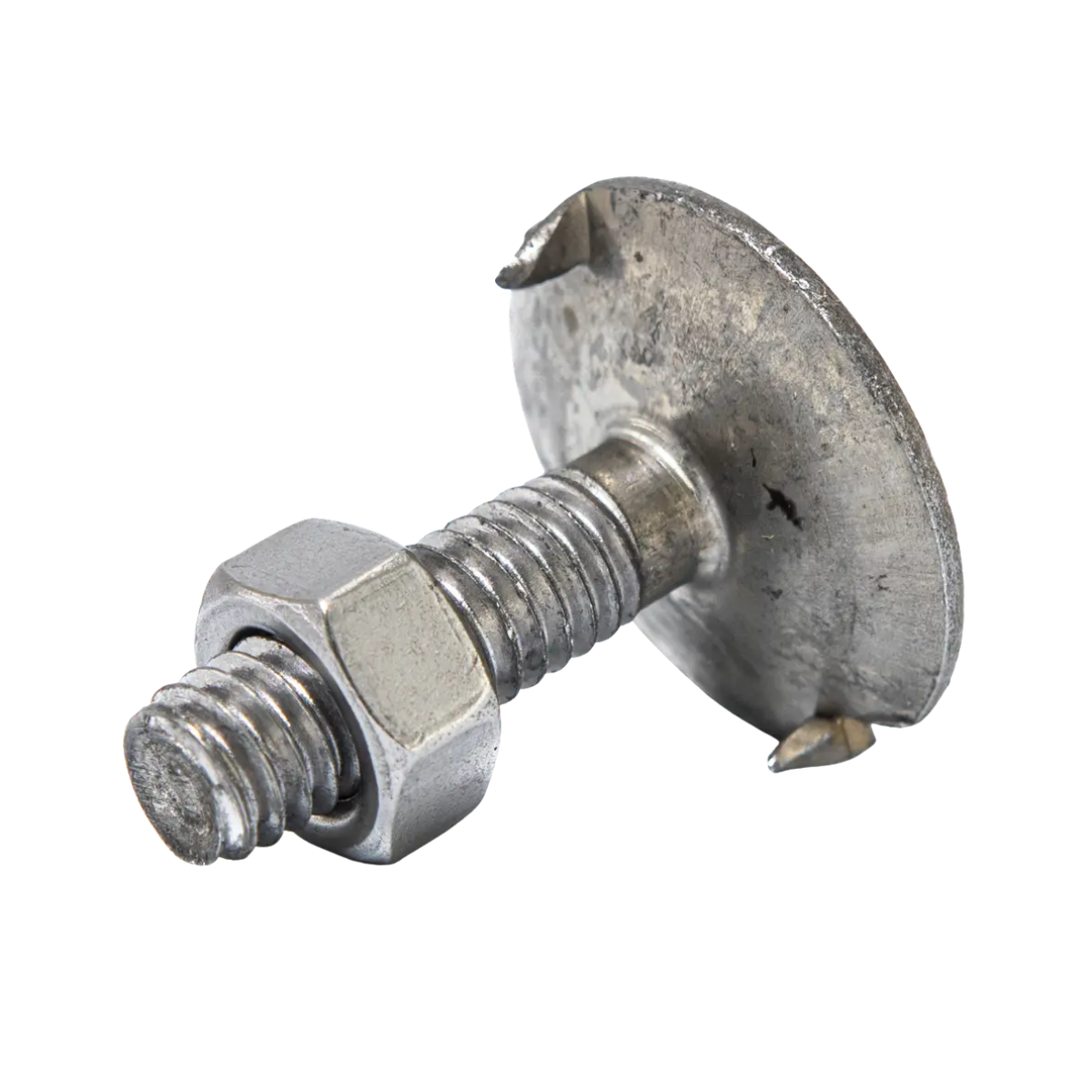 BULON PARA CORREAS  CABEZA 19 6 x 19